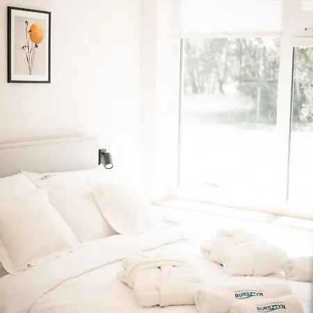 Bursztyn - Bernstein 다브키