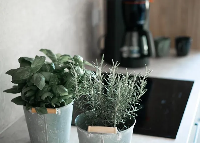 Aparthotel Bursztyn - Bernstein 3*